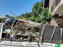 Best Moving and Downsizing Cleanouts  in Heron Bay, GA