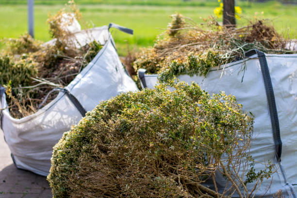 Best Moving and Downsizing Cleanouts  in Heron Bay, GA